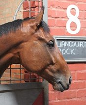 Liancourt Rock<br>Photo by Liesl King